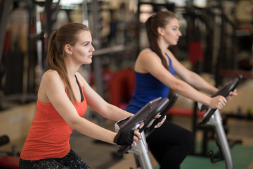 Fototapeta premium Fitness practice, two young women cycling in sports club, doing cardio exercises