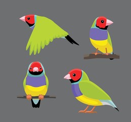 Bird Poses Gouldian Finch Vector Illustration