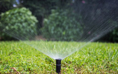 Sprinkler watering the lawn in a park, bokeh background.