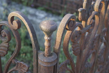 SONY DSC