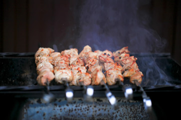 Meat And Vegetable Kebabs On The Hot BBQ Grill. Flaming Charcoal In The Background. Snack For Outdoor Summer Barbeque Party.Family dinner in the open air.