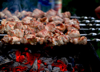 Meat And Vegetable Kebabs On The Hot BBQ Grill. Flaming Charcoal In The Background. Snack For Outdoor Summer Barbeque Party.Family dinner in the open air.
