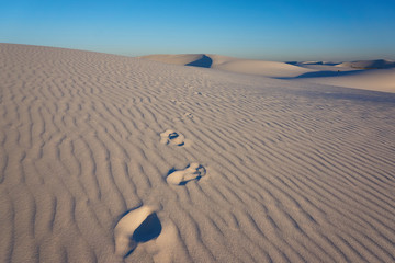 Foot Steps Leading Into Distance In White Sand at White Sands National Monument