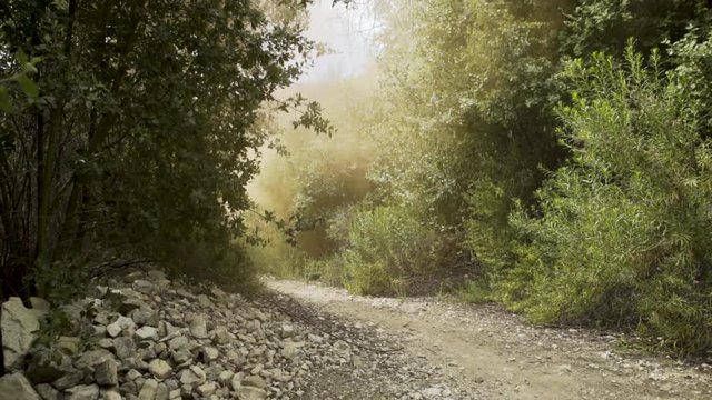 Bikepackers coming down through smoke 