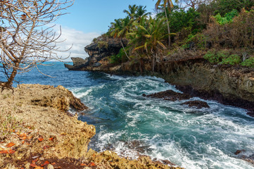 Fototapeta na wymiar stormy sea in a rocky Cove with palm trees