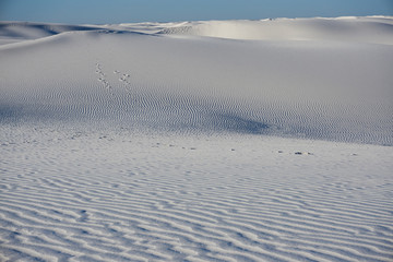 Fototapeta na wymiar White Sands National Monument Gypsum Dunes
