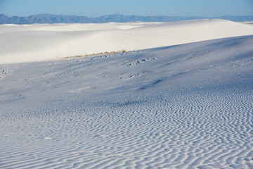 White Sande National Monument Gypsum Dunes Glow Blue