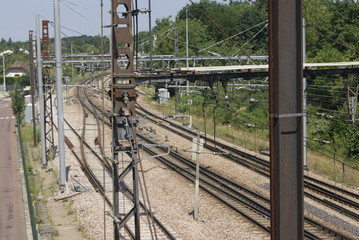 SONY DSC