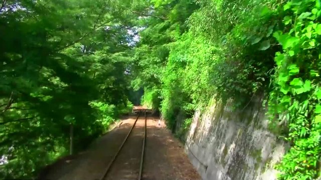 緑のトンネルを走るローカル列車