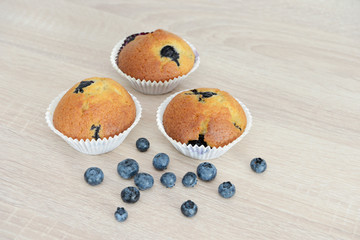 Blueberry Muffin and blueberries on wood