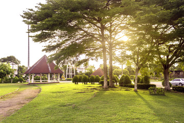 Obraz premium public park at sunrise