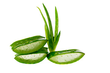 Aloe vera slice on white background.