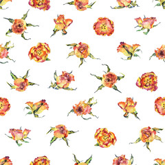 Miniature, beautiful, garden, decorative flowers. Red, beautiful roses. Fragrant, elegant tulips. Watercolor. Illustration