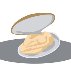 clams vector illustration flat style front side