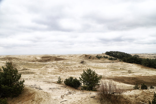 Beautiful view on sand dunes of the Curonian spit. Nida in Lithuania and Kaliningrad region in Russia