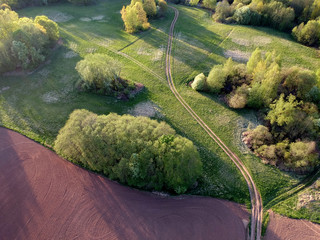 morning farm landscape with fields and groves,aerial