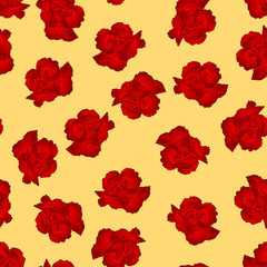 Dianthus caryophyllus - Red Carnation Flower on Yellow Background.