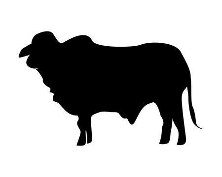 cow cattle silhouette fauna animal safari image vector icon logo