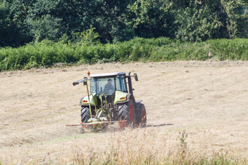 Tracteur passant la faneuse dans un champ de foin