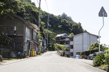 Japanese country house in front of rice fields