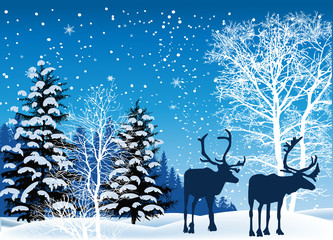 two deers in blue fir forest silhouettes at snow