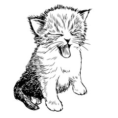 Little cat hand drawn