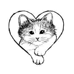 Little cat hand drawn