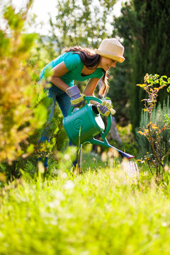 Young woman in her garden. She is watering plants. 