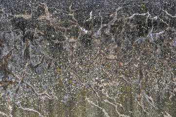 Fototapeta na wymiar Weathered surface of a concrete seawall with a large variety of stains, scrathes, colorizations and other irregularities