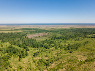 Fototapeta premium Nice aerial view of green field