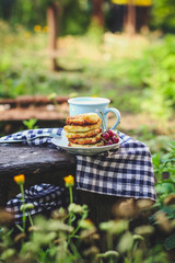 cheese cakes with berries  cottage cheese sour cherry. food background
