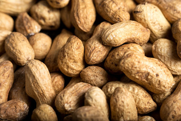 Roasted walnut, close-up.