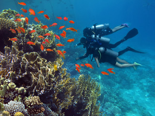 Fototapeta na wymiar Three divers among fish