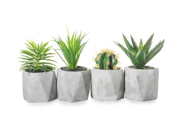 Different plants in pots on white background