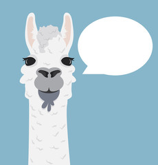 Alpaca lama portrait with speech bubble © focus_bell
