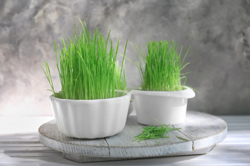 Pots with sprouted wheat grass on table
