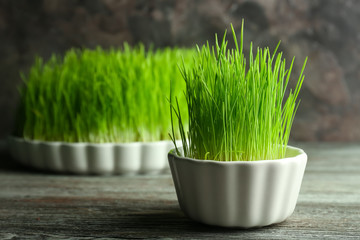 Pot and dish with sprouted wheat grass on wooden table