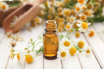 Bottle of essential oil with chamomile flowers on wooden table