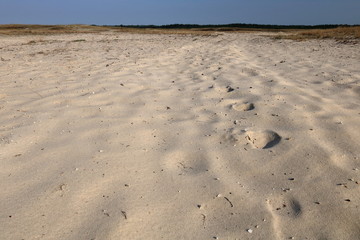 Piaszczysta pustynia, jasny paisek, ślady na piasku, na dalekim horyzoncie cienka linia...