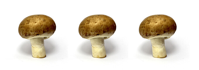 drei frische champignon pilze isoliert auf weißem Hintergrund