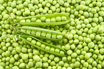 Fresh young green peas