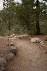 Moon landscape on Tenerife, Canary Island, Spain