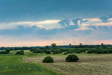 Obraz premium Rainy clouds over the meadows