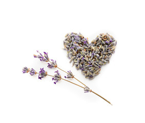 Heart made of beautiful blooming lavender flowers on white background