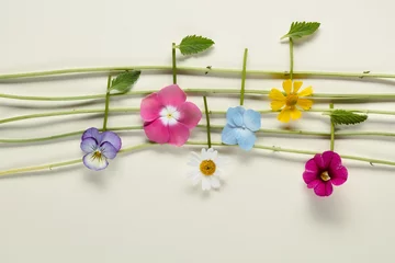 Fotobehang Music notes of flowers © powerstock