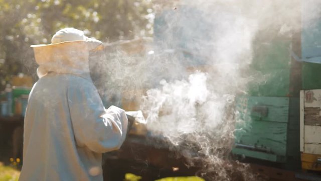 bee-maker beekeeper man working of a smoke pipe beeper smoker device for repelling evil lifestyle bees. slow motion video. apiary. beekeeping concept bee agriculture