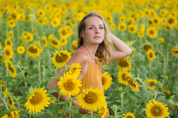  Happy woman with sunflowers. The girl in the fields of a sunflower