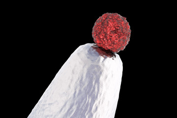 Stem cell research, 3D illustration showing stem cell on a tip of laboratory needle