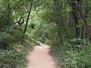 Pathway in the forest of the colorado of Rustrel, France