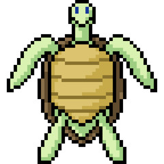 Fototapeta premium vector pixel art turtle stand front